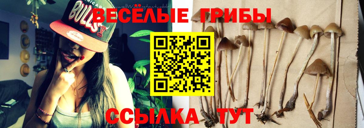 Псилоцибиновые грибы Cubensis  Вход с VPN  Галлюциногенные грибы Psilocybe  Людиново 